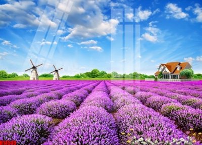 File gốc File tranh gốc in tranh tường nền tổng hợp H14549 (ảnh chi tiết) để in trần