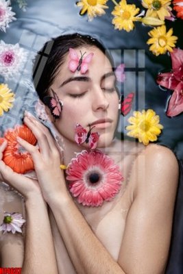 File tranh gốc File tranh gốc in tranh tường nền tổng hợp H14637 (sắc nét từng chi tiết)