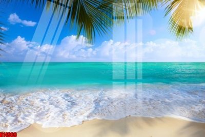 Tải file File tranh gốc in tranh tường nền tổng hợp H14969 (gốc) chủ đề hoa sen