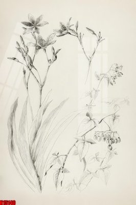 Tải về hình ảnh gốc File tranh gốc in tranh tường nền tổng hợp H15140 sắc nét