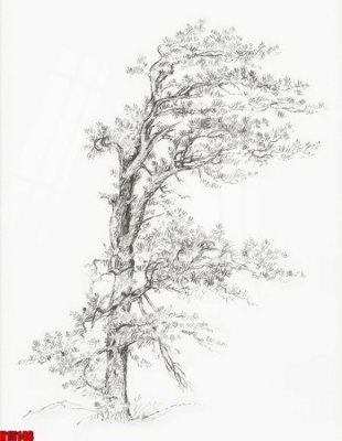 Ảnh gốc File tranh gốc in tranh tường nền tổng hợp H15148 (độ nét cao) in mica