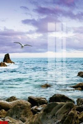 File gốc in tráng gương File tranh decor tranh bộ treo tường tổng hợp H1516 chi tiết