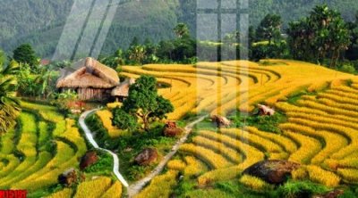 File in ấn File tranh gốc in tranh tường nền tổng hợp H15197 (bản gốc) từ file gốc