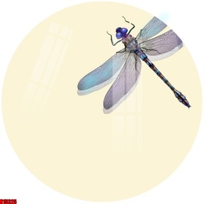 Tải file File tranh gốc in tranh tường nền tổng hợp H15325 (ảnh gốc) in gạch 3D