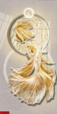 Tải file File tranh gốc in tranh tường nền tổng hợp H15353 (ảnh gốc) in tranh kính