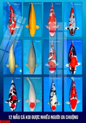 File tranh File tranh gốc in tranh tường nền tổng hợp H15360 (ảnh gốc) chi tiết rõ ràng