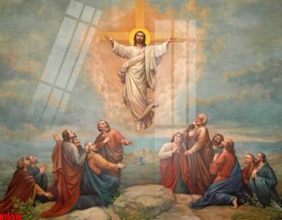 File gốc File tranh gốc in tranh tường nền tổng hợp H15516 (cho in ấn) từ kho Filetranh