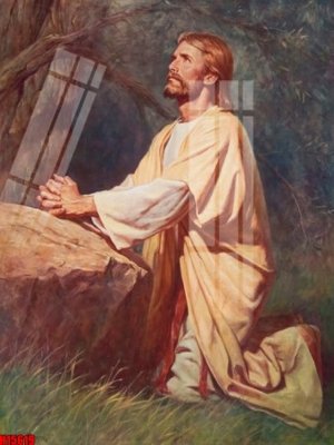 File in lụa File tranh gốc in tranh tường nền tổng hợp H15619 (hoa văn) File tranh gốc in tranh tường nền tổng hợp H15619