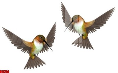 Tải file File tranh gốc in tranh tường nền tổng hợp H15750 (gốc) làm tranh treo tường