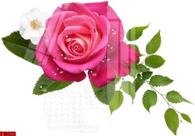 File PSD File tranh gốc in tranh tường nền tổng hợp H15828 (gốc) cho designer