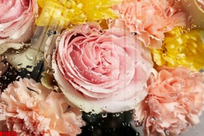 File gốc File tranh gốc in tranh tường nền tổng hợp H15829 (dành cho trang trí nội thất)