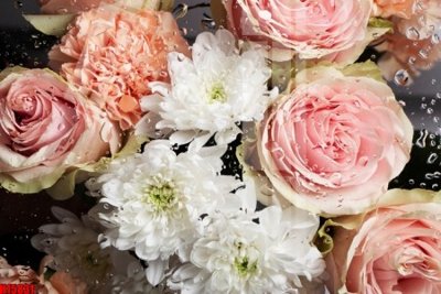 Tải file gốc File tranh gốc in tranh tường nền tổng hợp H15831 (bản PSD) gốc