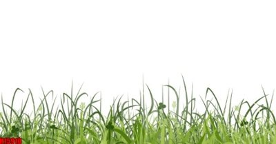 Mua file tranh gốc File tranh gốc in tranh tường nền tổng hợp H15910 tại Filetranh.com