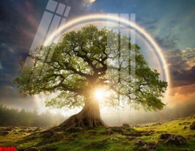 Tải file gốc File tranh gốc in tranh tường nền tổng hợp H16095 dùng cho in ấn