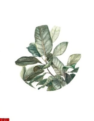 Tải file File tranh gốc in tranh tường nền tổng hợp H16149 (PSD) cho in tranh kính