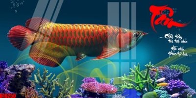 Tải file tranh File tranh gốc in tranh tường nền tổng hợp H16250 (gốc) tại Filetranh.com