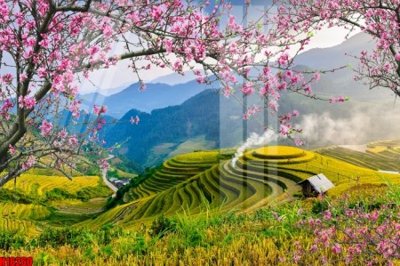 File gốc File tranh gốc in tranh tường nền tổng hợp H16260 (cho in UV) siêu nét