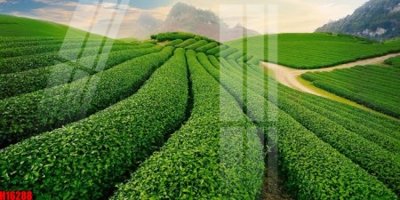 File tranh gốc File tranh gốc in tranh tường nền tổng hợp H16288 chủ đề hiện đại