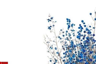 Tải file File tranh gốc in tranh tường nền tổng hợp H16366 (gốc) làm tranh trang trí