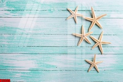 File gốc File tranh gốc in tranh tường nền tổng hợp H16369 (ảnh chi tiết) để in trần