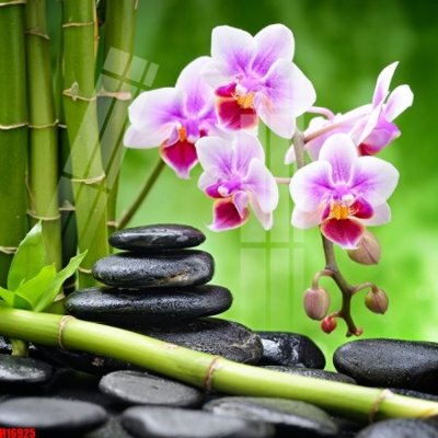 Mua file tranh gốc File tranh gốc in tranh tường nền tổng hợp H16925 tại Filetranh.com