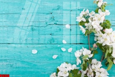 Download file File tranh gốc in tranh tường nền tổng hợp H16928 (gốc) in mica cao cấp