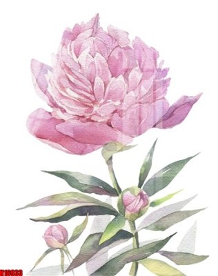 File gốc File tranh gốc in tranh tường nền tổng hợp H16933 (ảnh rõ nét) để in