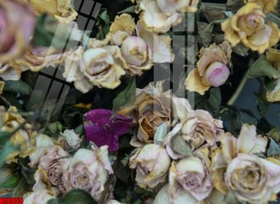 File gốc File tranh gốc in tranh tường nền tổng hợp H16955 (in tráng gương) hiện đại