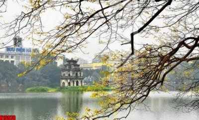 File in mica File tranh gốc in tranh tường nền tổng hợp H16978 (bản gốc) siêu trong