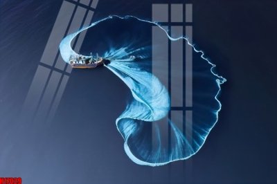 File ảnh File tranh gốc in tranh tường nền tổng hợp H17029 (gốc) in backdrop sự kiện