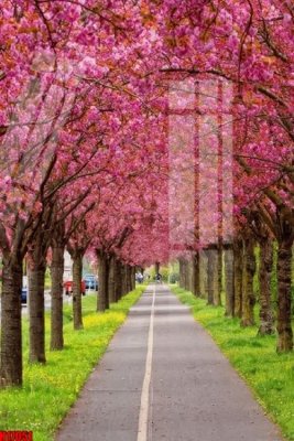 File gốc File tranh gốc in tranh tường nền tổng hợp H17051 (in lụa) họa tiết 3D