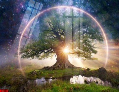 File tranh File tranh gốc in tranh tường nền tổng hợp H17112 (ảnh gốc) sắc nét hoàn hảo