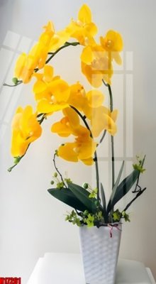 File tranh in trần File tranh gốc in tranh tường nền tổng hợp H17261 (ảnh gốc siêu nét)