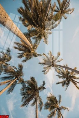 Tải file File tranh gốc in tranh tường nền tổng hợp H17287 (gốc) in ấn chất lượng