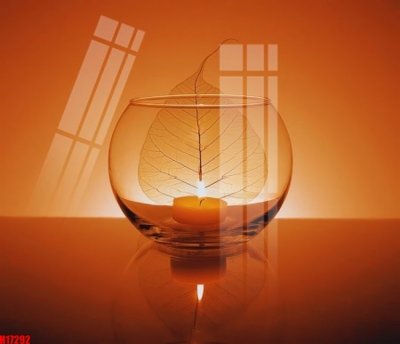 File tranh File tranh gốc in tranh tường nền tổng hợp H17292 (gốc) chủ đề tĩnh vật