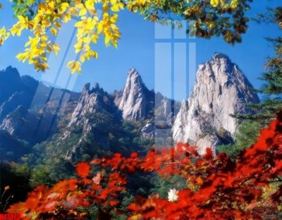 File tranh File tranh gốc in tranh tường nền tổng hợp H17473 (gốc) in trên kính