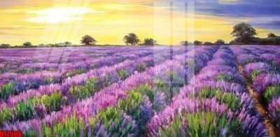 File tranh File tranh gốc in tranh tường nền tổng hợp H17506 (ảnh gốc) chi tiết rõ ràng