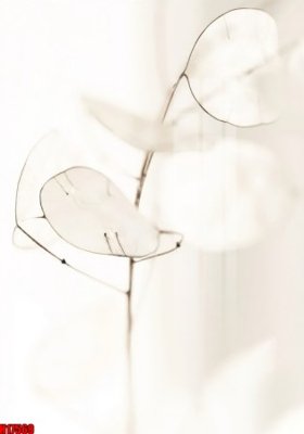 Download file File tranh gốc in tranh tường nền tổng hợp H17569 (gốc) in mica đèn LED