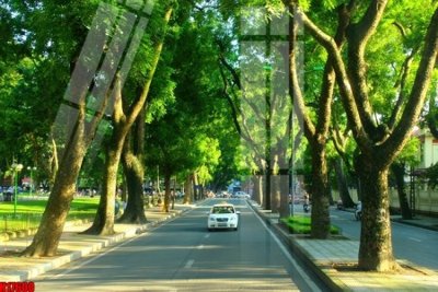 Tải file tranh File tranh gốc in tranh tường nền tổng hợp H17600 (ảnh gốc) ngay