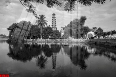 File tranh gốc File tranh gốc in tranh tường nền tổng hợp H17625 (sắc nét từng chi tiết)