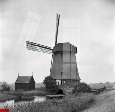 File gốc File tranh gốc in tranh tường nền tổng hợp H17632 (cho in 3D) độc đáo