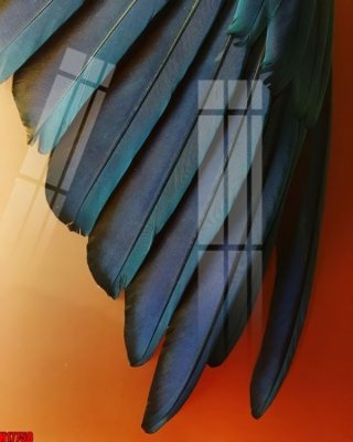 File ảnh File tranh gốc in tranh tường nền tổng hợp H17758 (gốc) in quảng cáo ngoài trời