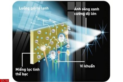 File gốc File tranh gốc in tranh tường nền tổng hợp H17872 (in 3D) cho trang trí