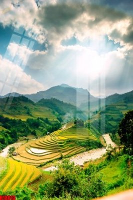 Download file File tranh gốc in tranh tường nền tổng hợp H18013 (chất lượng in ấn)