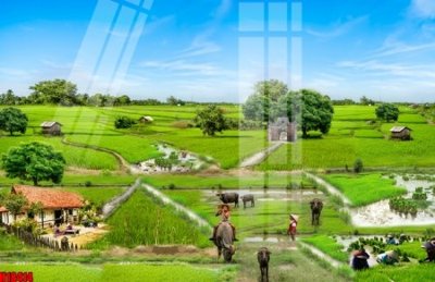 Download file tranh PSD File tranh gốc in tranh tường nền tổng hợp H18414 để chỉnh sửa