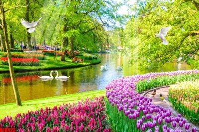 Tải file gốc File tranh gốc in tranh tường nền tổng hợp H18423 (in không vỡ ảnh)