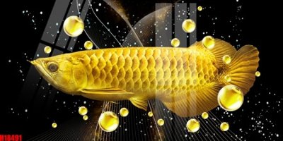 File gốc File tranh gốc in tranh tường nền tổng hợp H18491 (in mica) trang trí