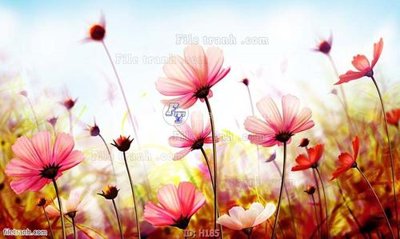 File PSD file tranh hoa H185 (bản gốc) độ phân giải cao