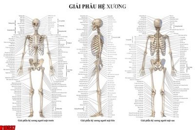 File gốc File tranh gốc in tranh tường nền tổng hợp H18537 (chuẩn màu) cho in offset