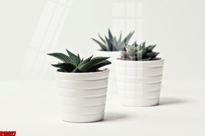 Tải file File tranh gốc in tranh tường nền tổng hợp H18627 (PSD) cho in tranh 3D